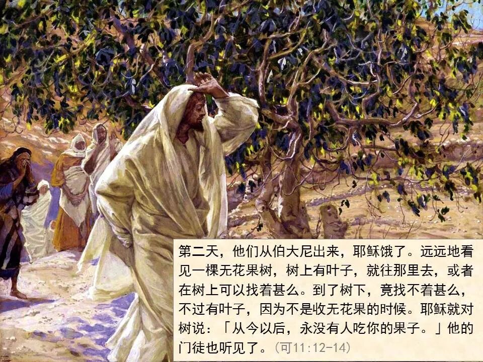 圣经图表——《马可福音》下(图9)