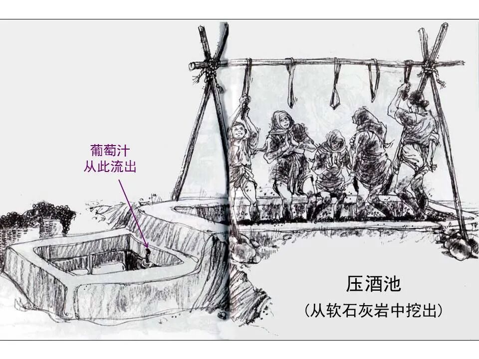 圣经图表——《马可福音》下(图18)