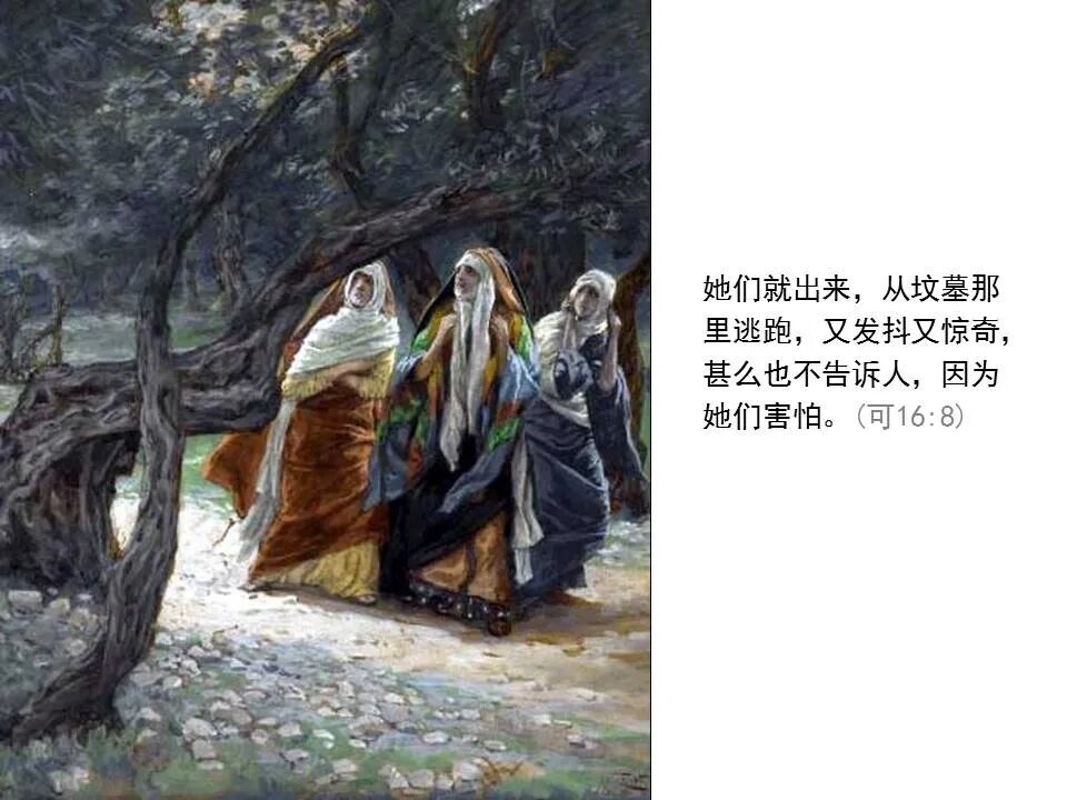 圣经图表——《马可福音》下(图109)