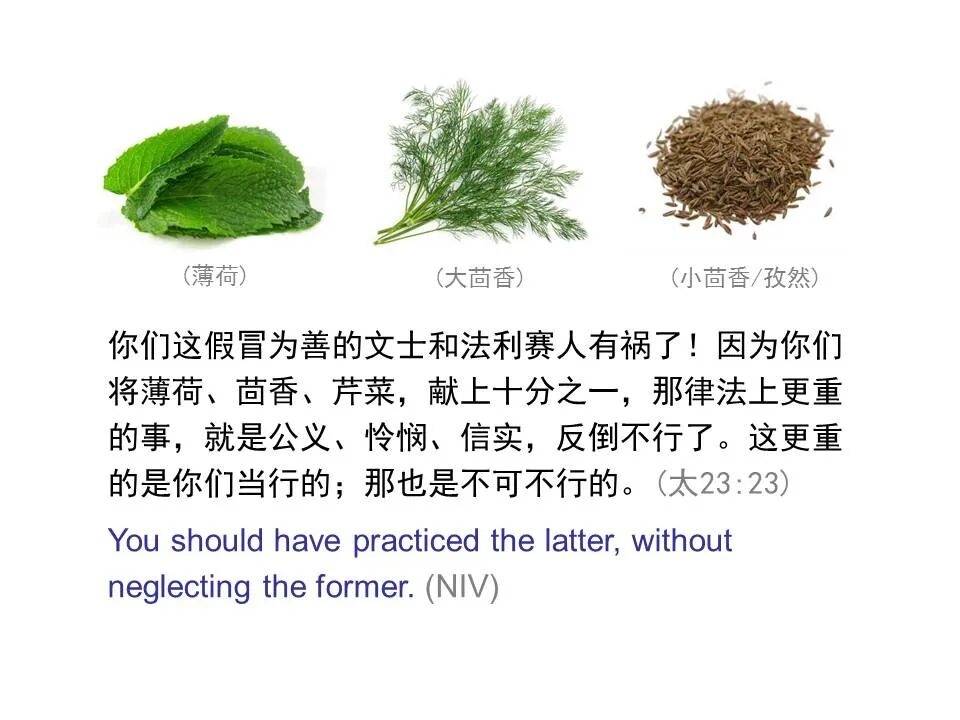 圣经图表——《马可福音》下(图34)