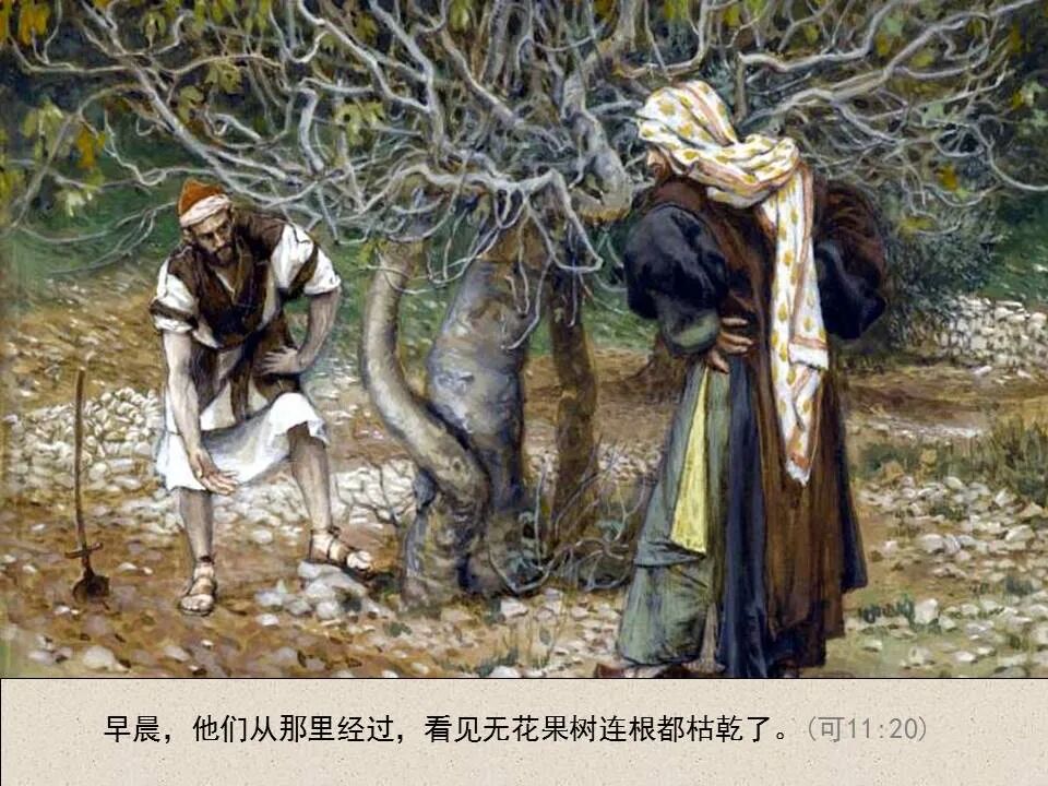 圣经图表——《马可福音》下(图13)