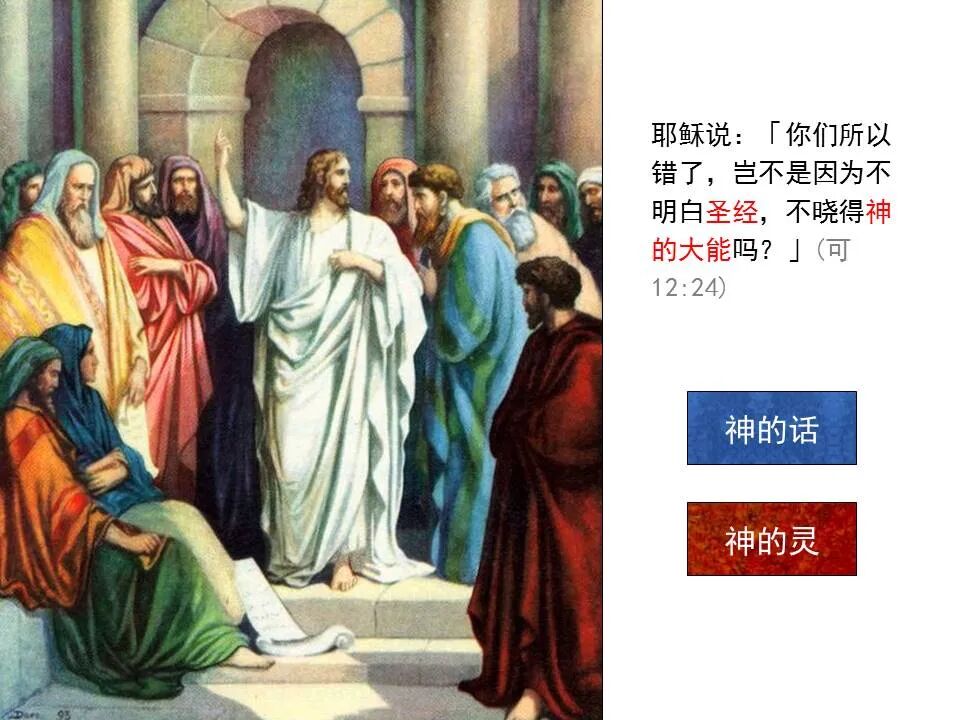 圣经图表——《马可福音》下(图29)