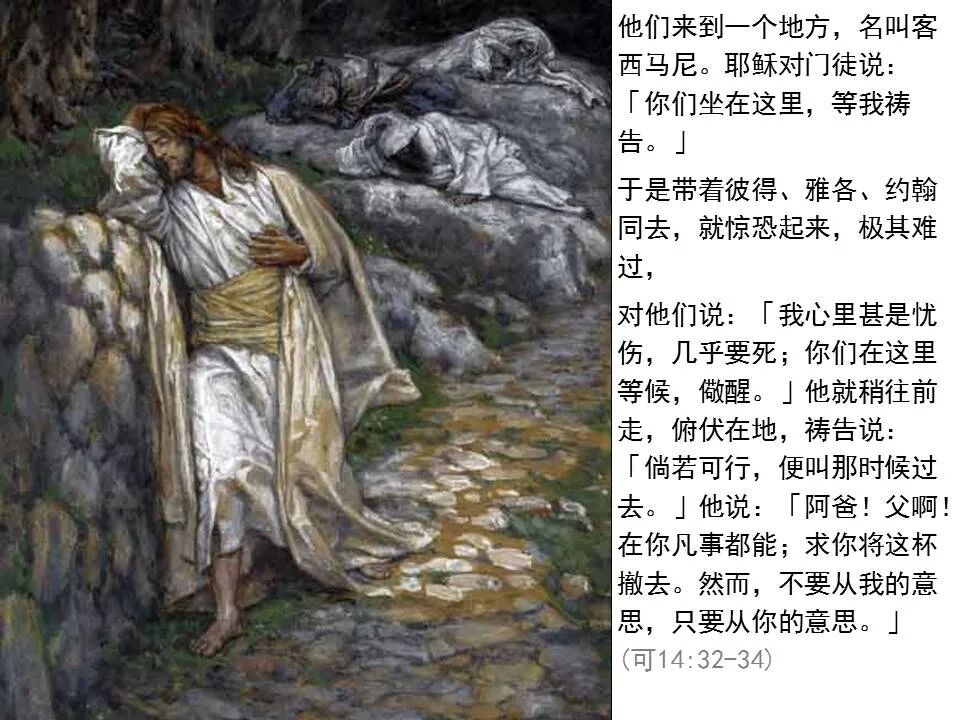 圣经图表——《马可福音》下(图67)