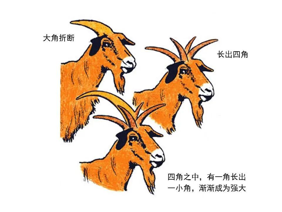 圣经图表——《但以理书》(图36)