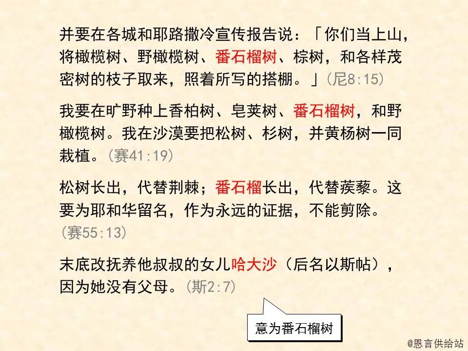 圣经图表——《撒迦利亚书》(图10)