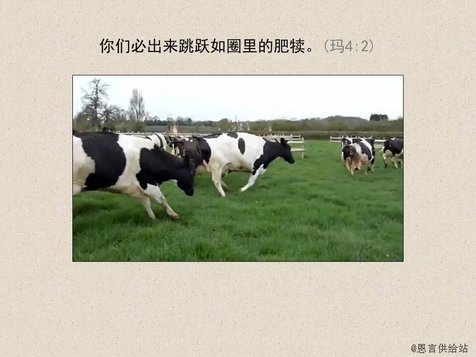 圣经图表——《玛拉基书》(图18)