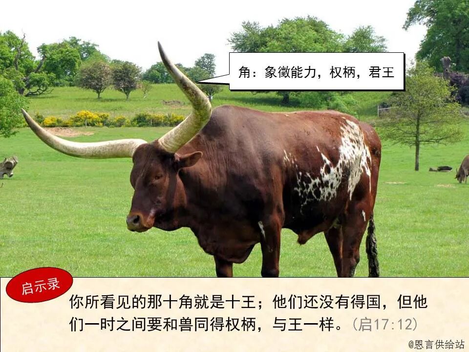 圣经图表——《撒迦利亚书》(图13)