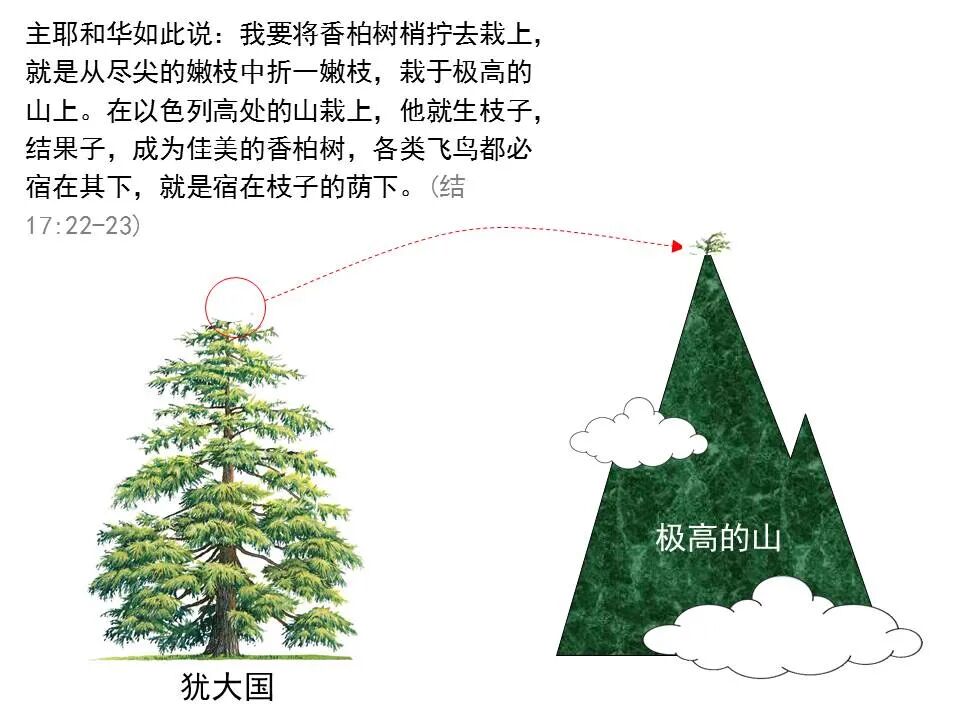 圣经图表——《以西结书》上(图77)