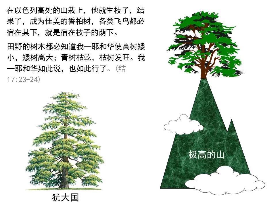 圣经图表——《以西结书》上(图78)