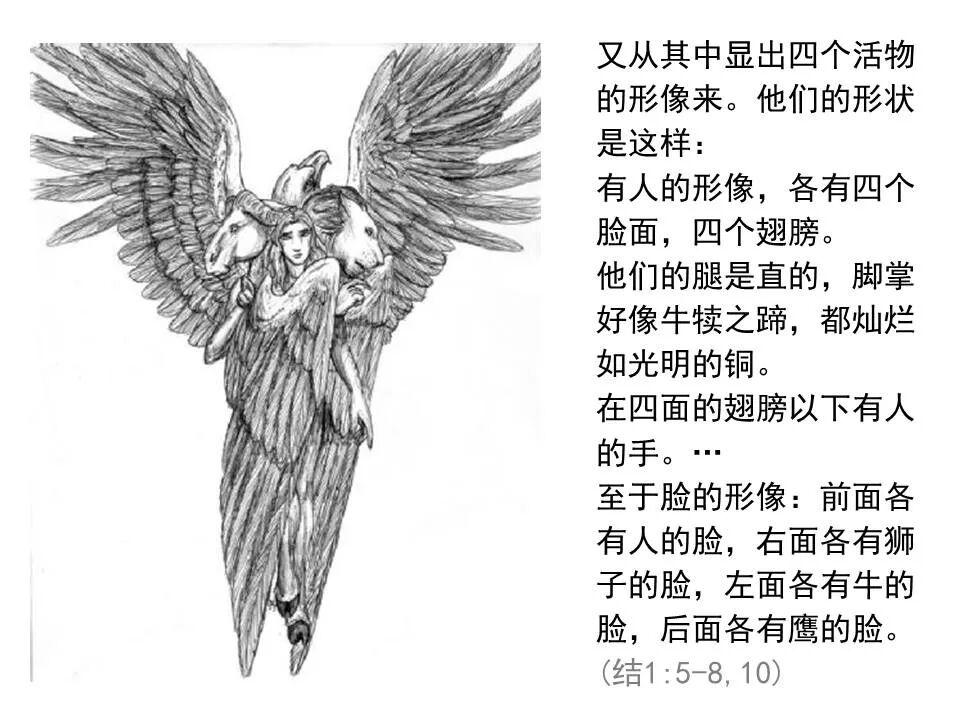 圣经图表——《以西结书》上(图10)