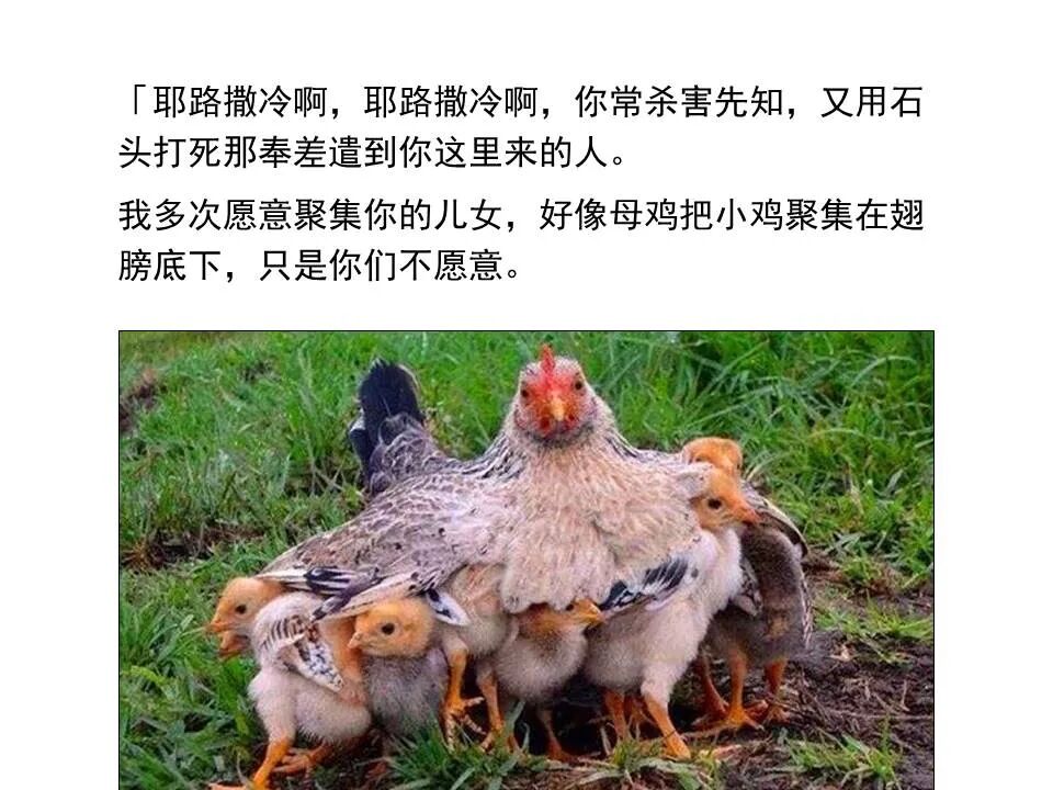 圣经图表——《马太福音》下(图36)