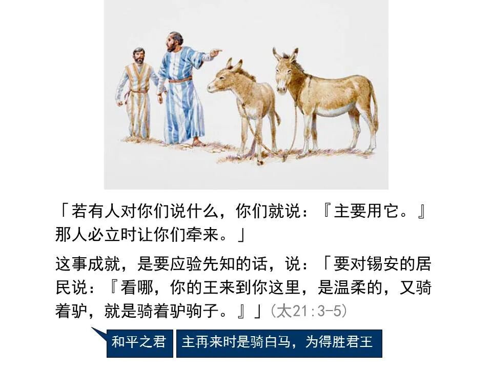 圣经图表——《马太福音》下(图4)