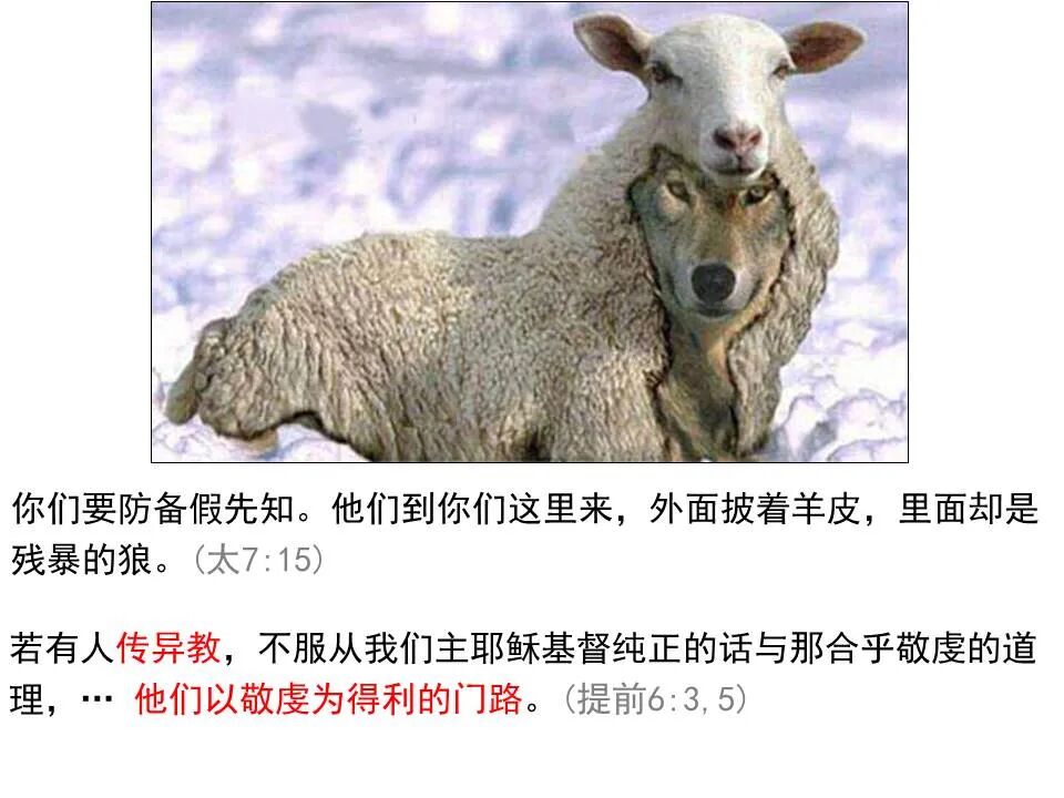 ​圣经图表——《马太福音》上(图103)