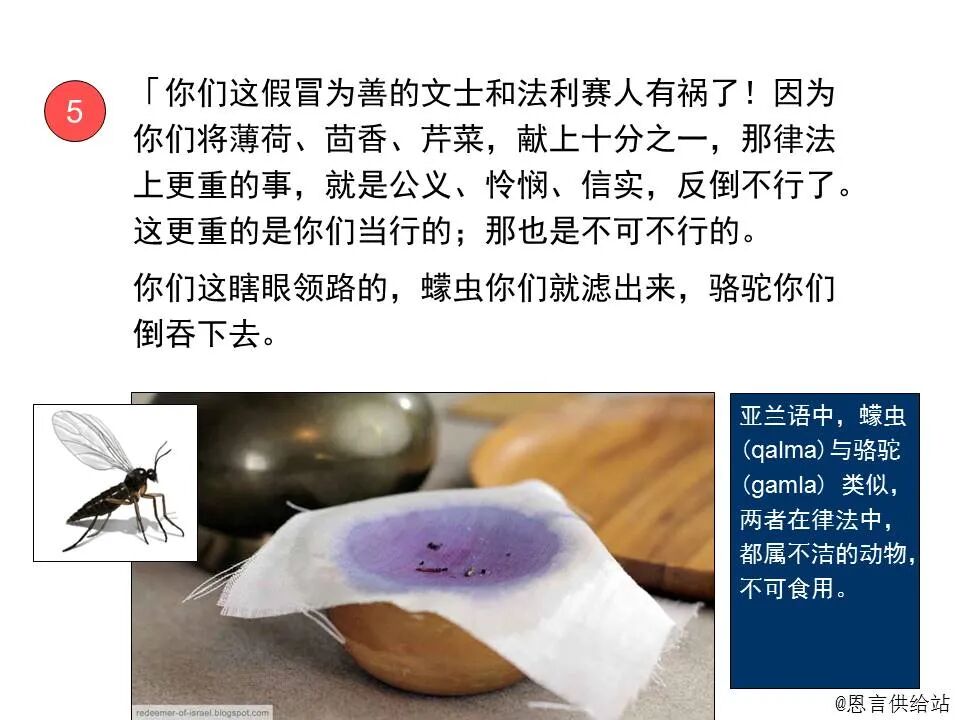 圣经图表——《马太福音》下(图32)