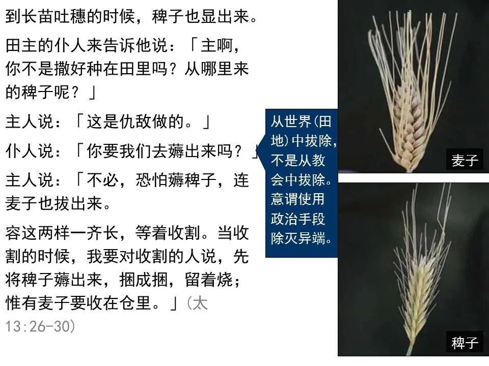 圣经图表——《马太福音》中(图60)