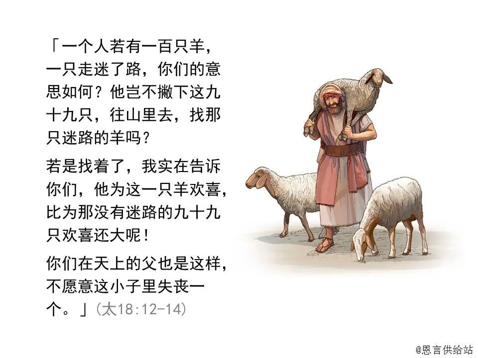 圣经图表——《马太福音》中(图117)