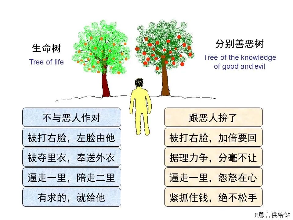 ​圣经图表——《马太福音》上(图64)