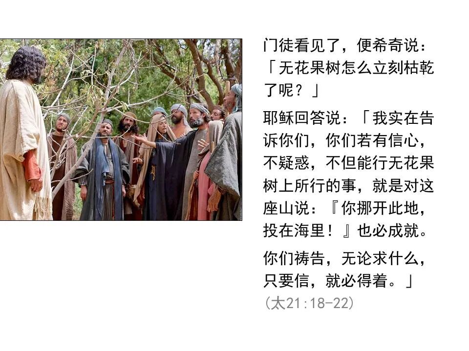 圣经图表——《马太福音》下(图13)