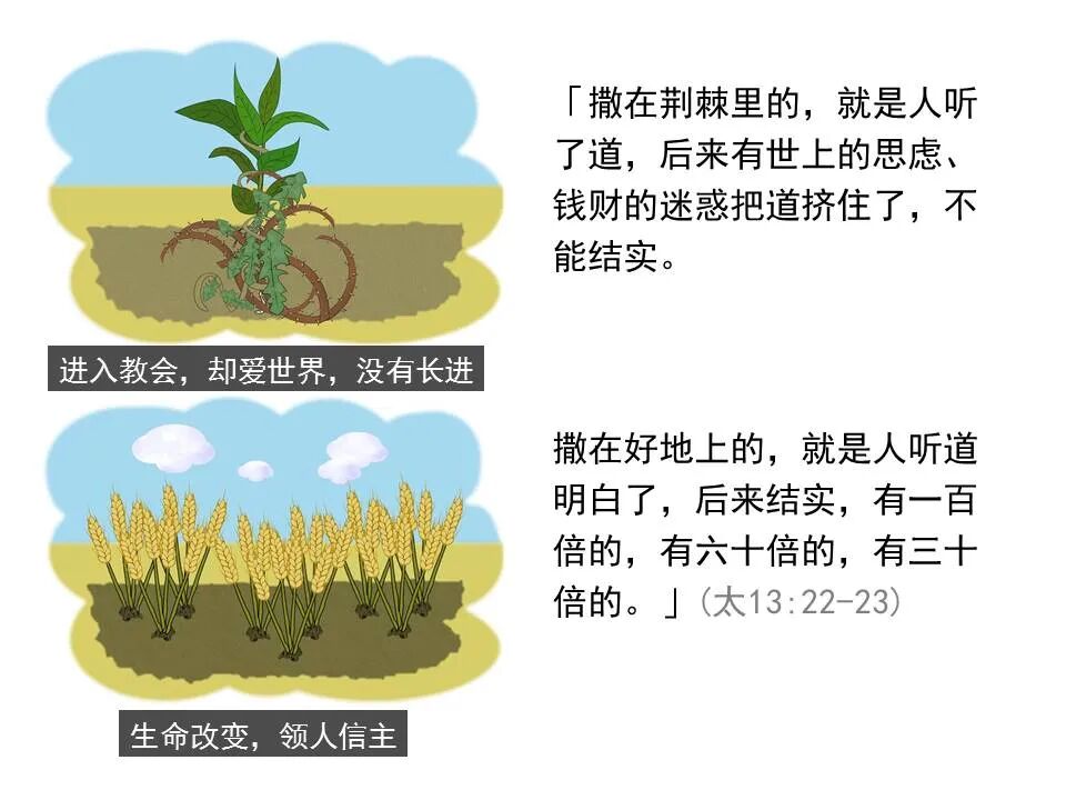 圣经图表——《马太福音》中(图58)