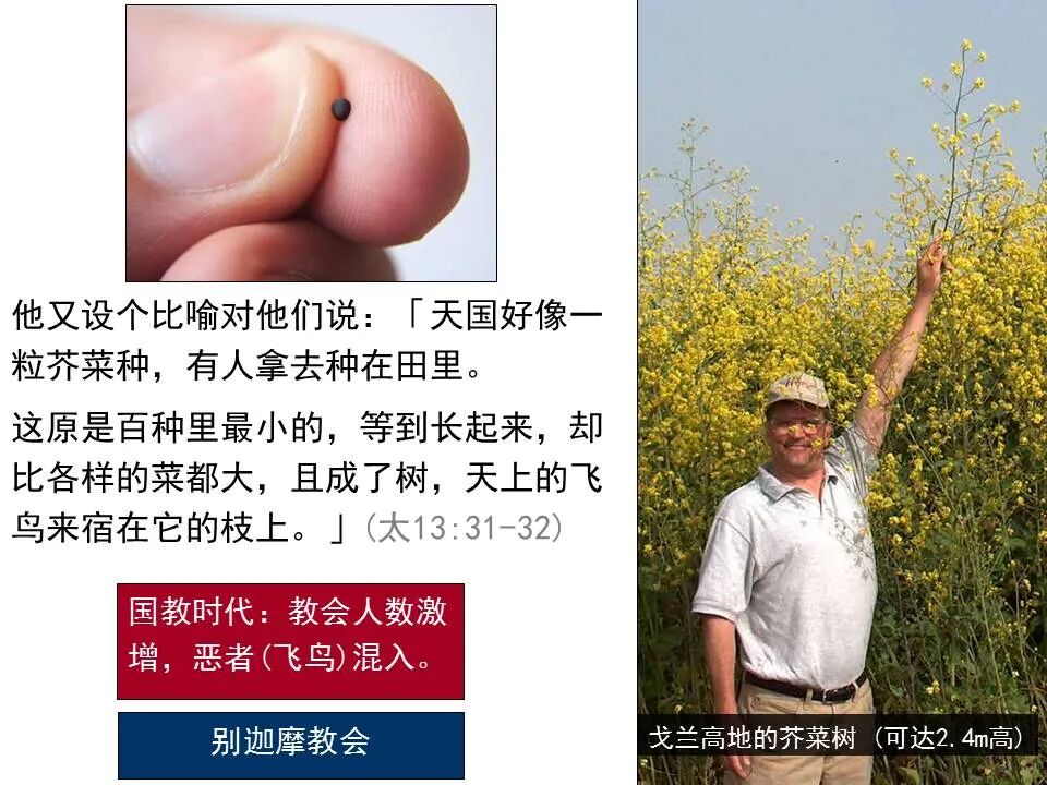 圣经图表——《马太福音》中(图62)