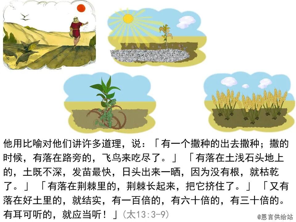 圣经图表——《马太福音》中(图54)