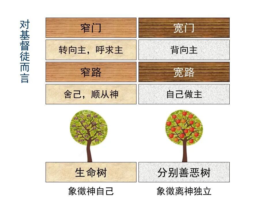 ​圣经图表——《马太福音》上(图100)