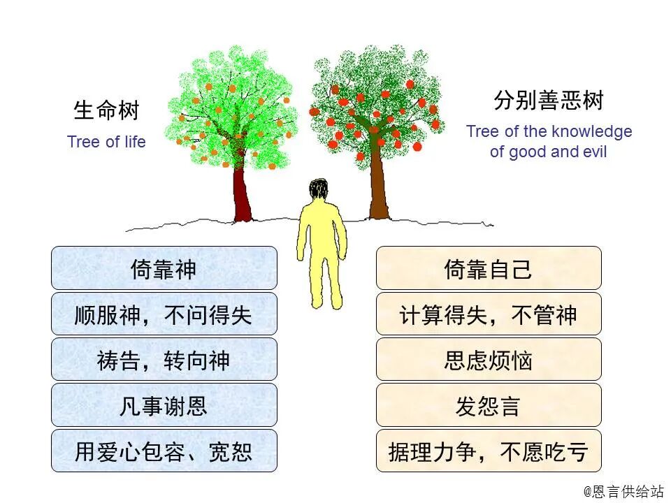 ​圣经图表——《马太福音》上(图63)
