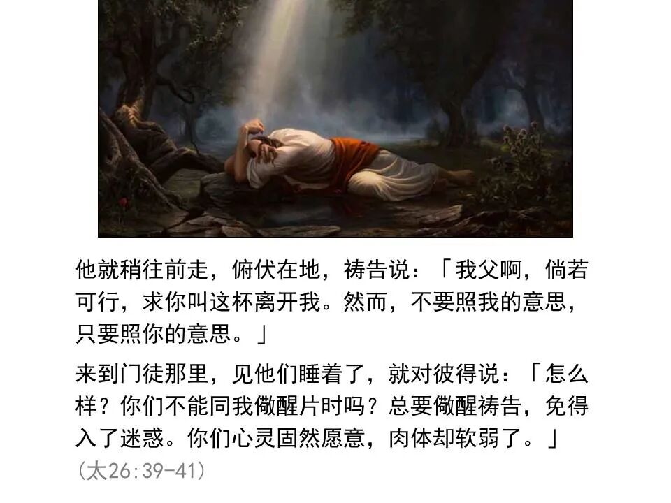 圣经图表——《马太福音》下(图75)