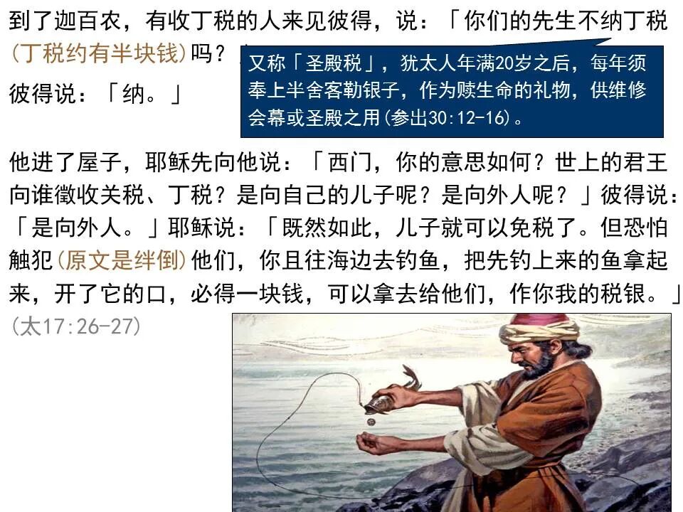 圣经图表——《马太福音》中(图114)