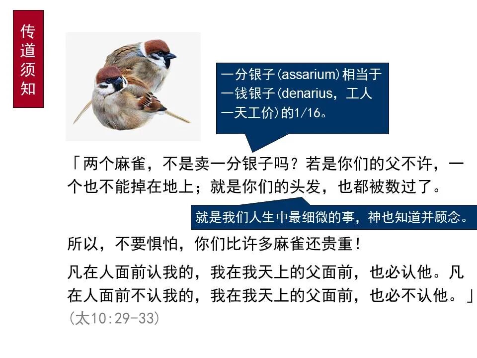 圣经图表——《马太福音》中(图30)