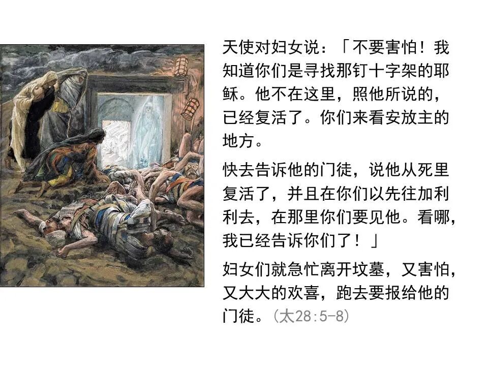 圣经图表——《马太福音》下(图130)