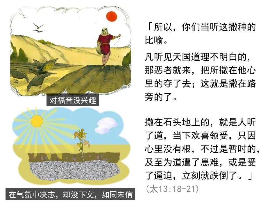 圣经图表——《马太福音》中(图57)