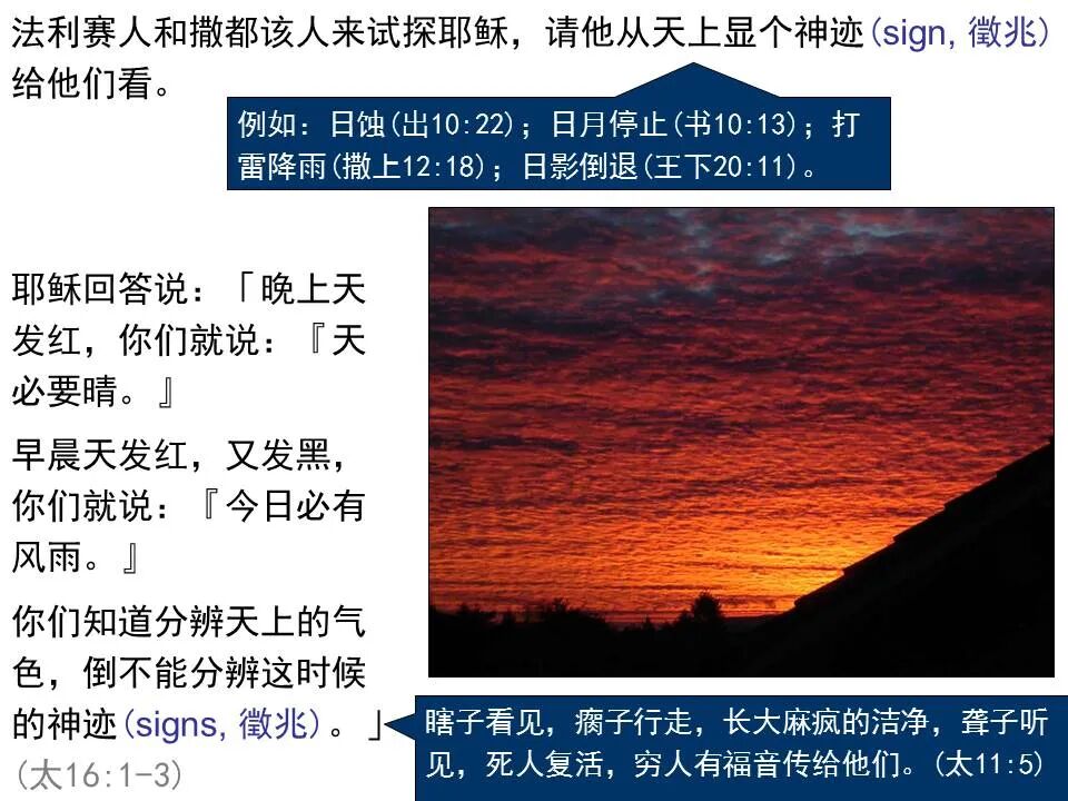 圣经图表——《马太福音》中(图97)