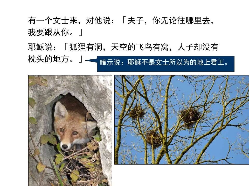 ​圣经图表——《马太福音》上(图117)