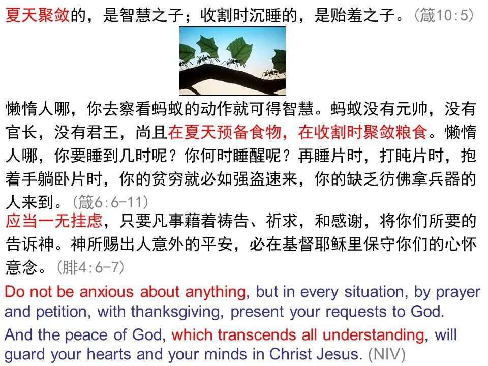 ​圣经图表——《马太福音》上(图90)