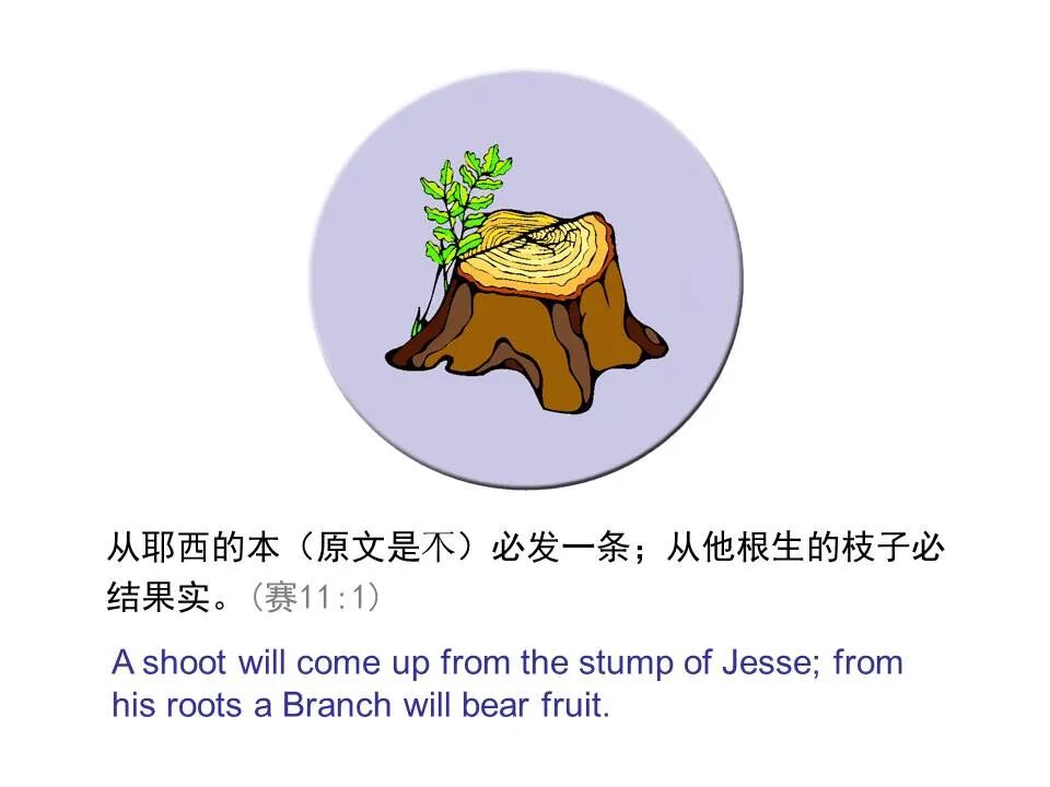 圣经图表——《以赛亚书》上(图50)