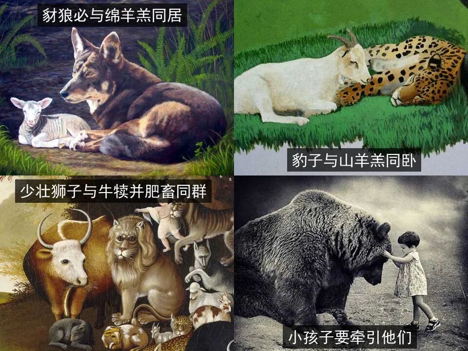 圣经图表——《以赛亚书》上(图52)