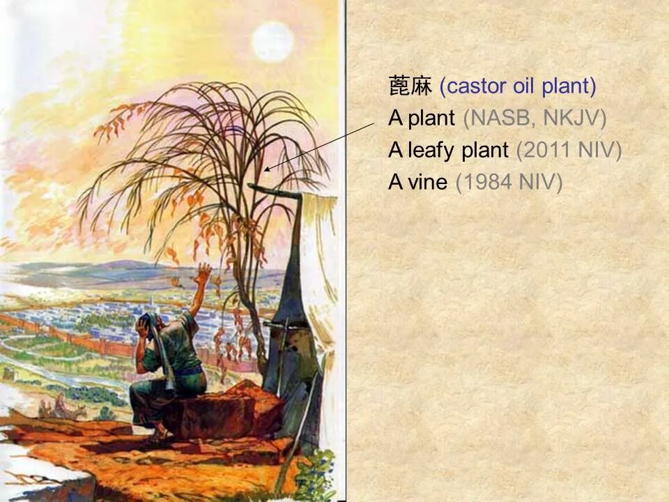 圣经图表——《约拿书》(图34)