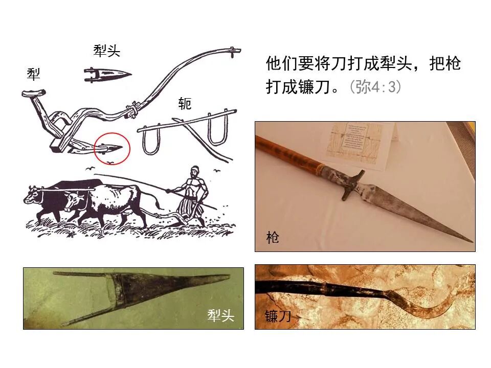 圣经图表——《弥迦书》(图16)