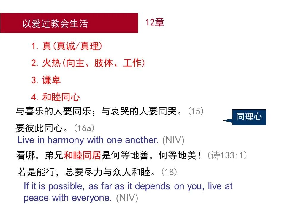 圣经图表——《罗马书》(图160)