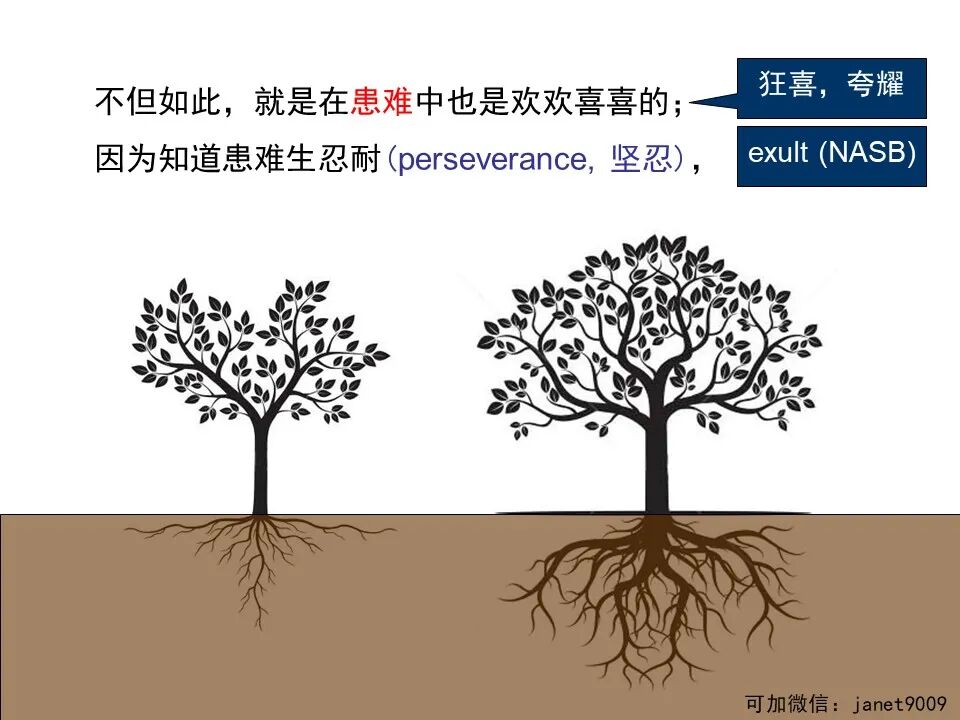 圣经图表——《罗马书》(图30)