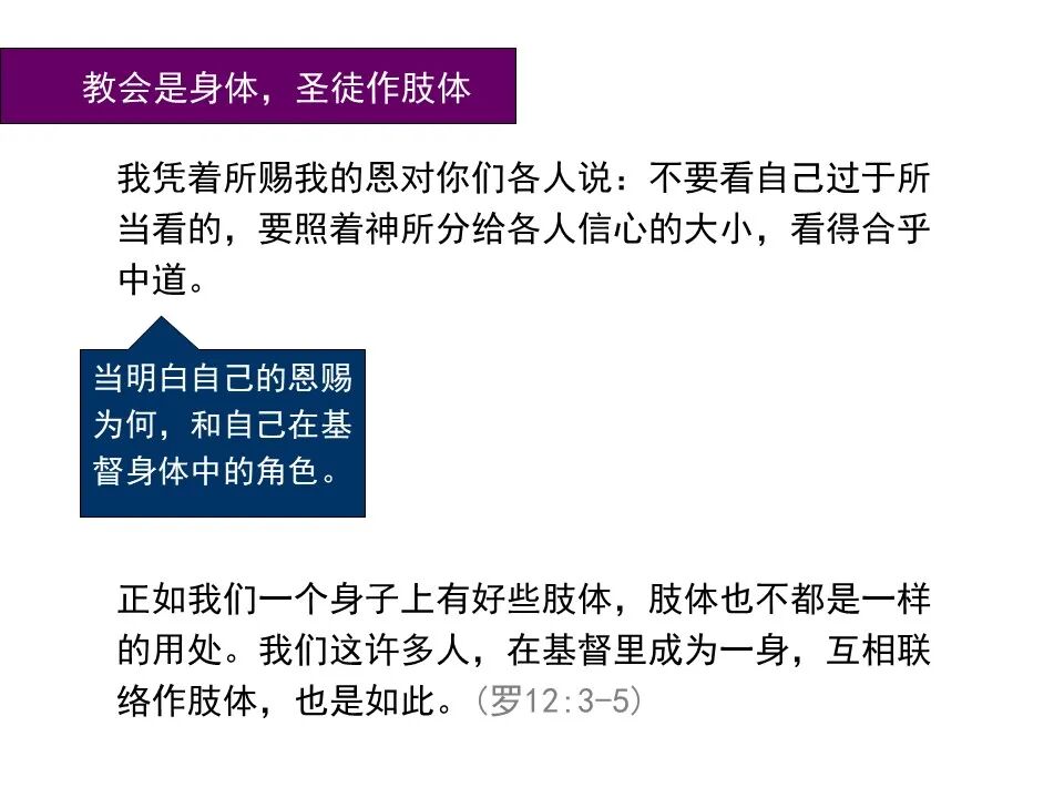 圣经图表——《罗马书》(图148)