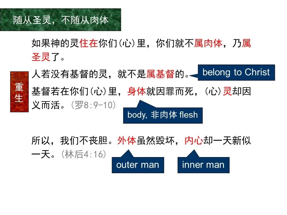 圣经图表——《罗马书》(图101)