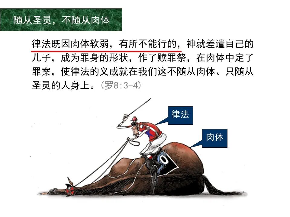 圣经图表——《罗马书》(图91)