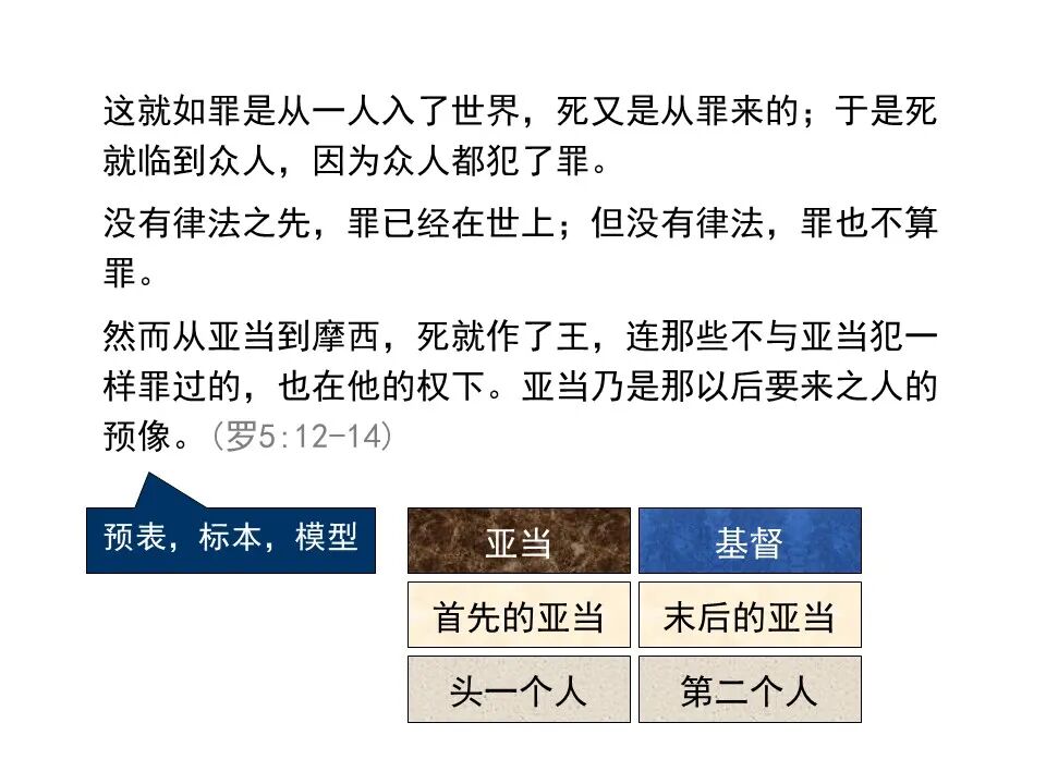 圣经图表——《罗马书》(图42)