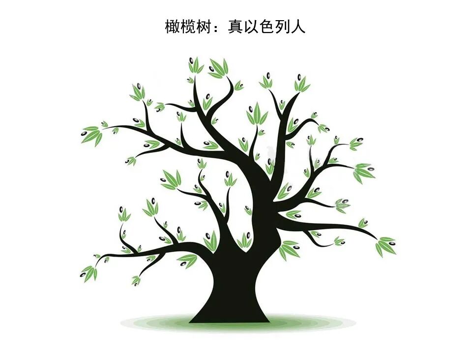 圣经图表——《罗马书》(图129)