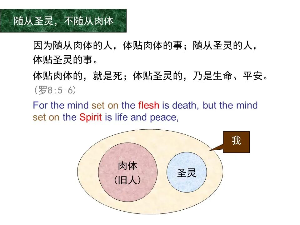 圣经图表——《罗马书》(图95)