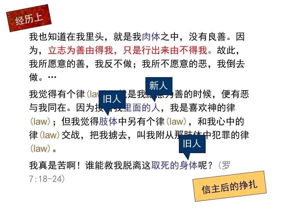 圣经图表——《罗马书》(图80)