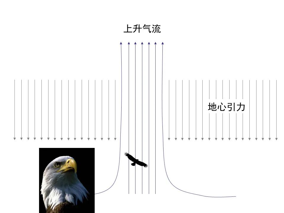 圣经图表——《罗马书》(图82)