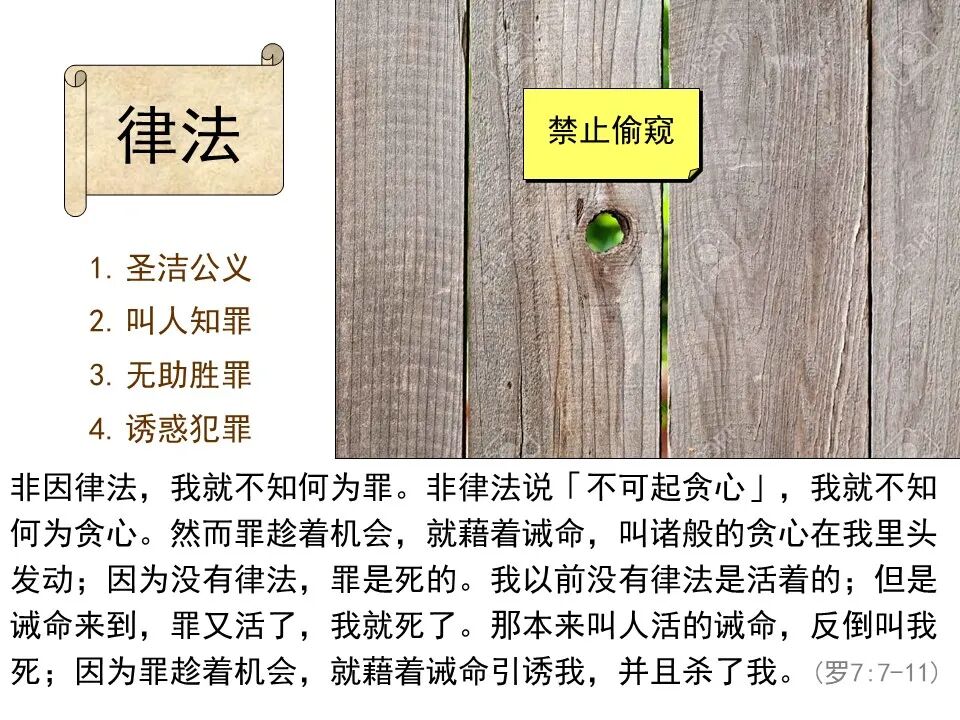 圣经图表——《罗马书》(图60)